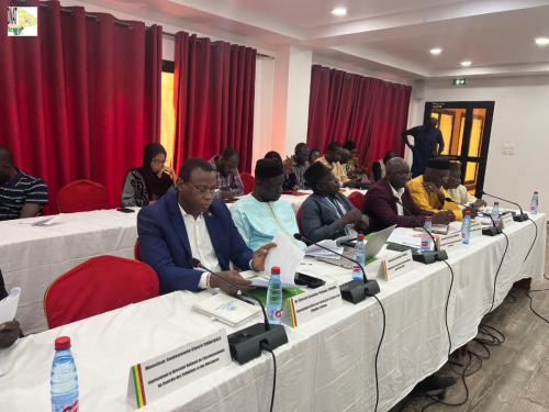 Participants 2e session du comité de suivi de la mise en œuvre du SDER-UEMOA